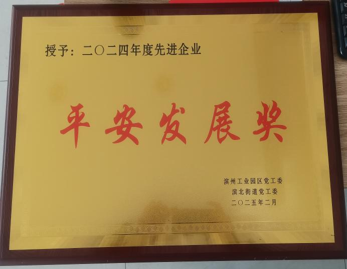 濱州工業園區黨工委授予我們公司為“平安發展獎”