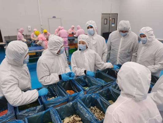 德國客戶一行來我司深入考察冷凍蔬菜產(chǎn)品出口質量